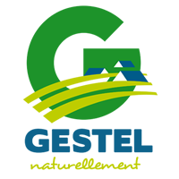 Ville de Gestel