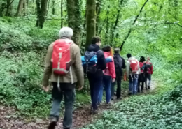 Un monde à l'autre - immersion sensorielle dans la nature.