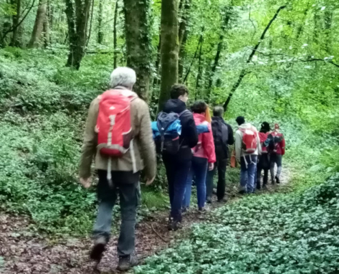 Un monde à l'autre - immersion sensorielle dans la nature.