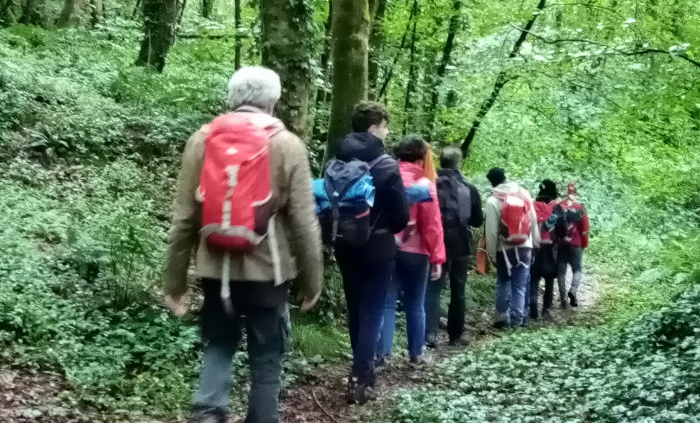 Un monde à l'autre - immersion sensorielle dans la nature.